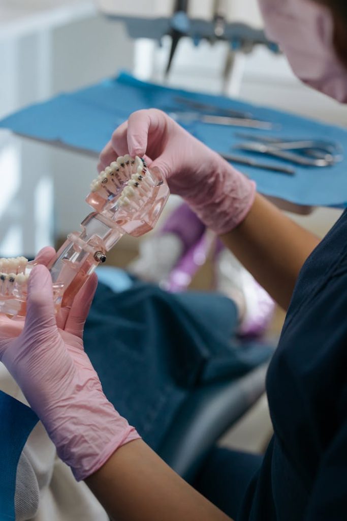 Close-up of a dentist with gloves examining a dental model in a clinical setting.