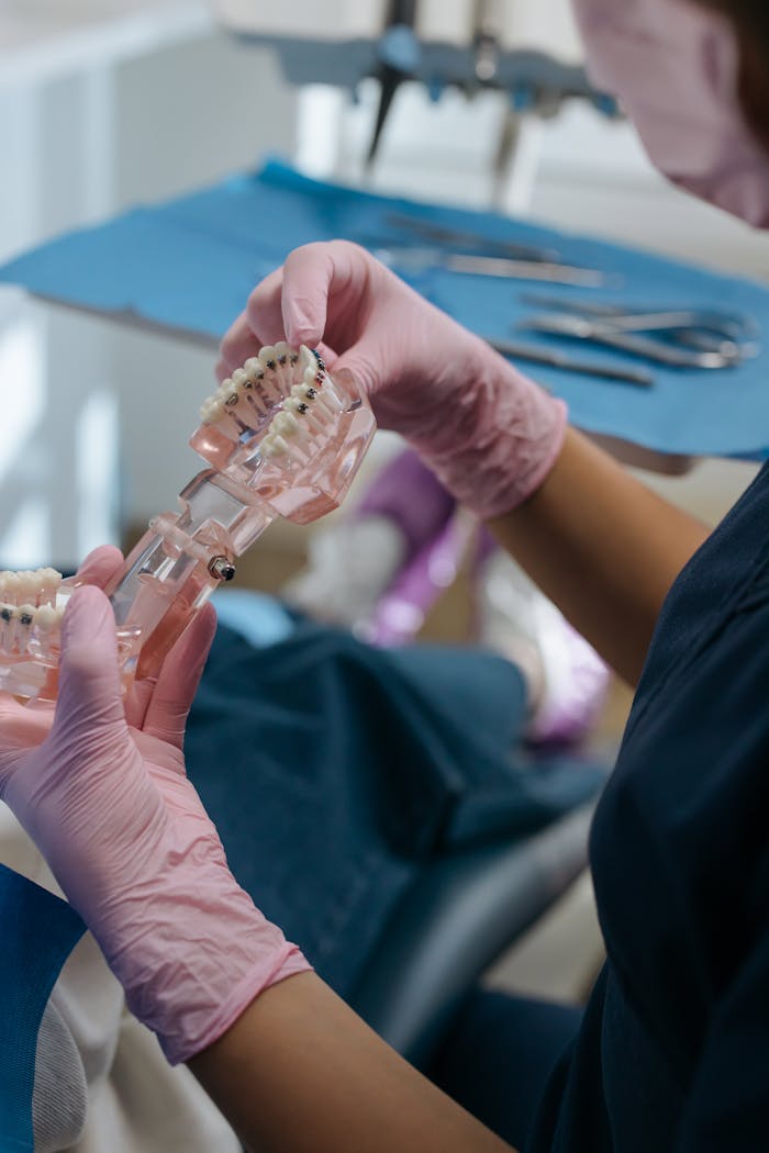 Close-up of a dentist with gloves examining a dental model in a clinical setting.