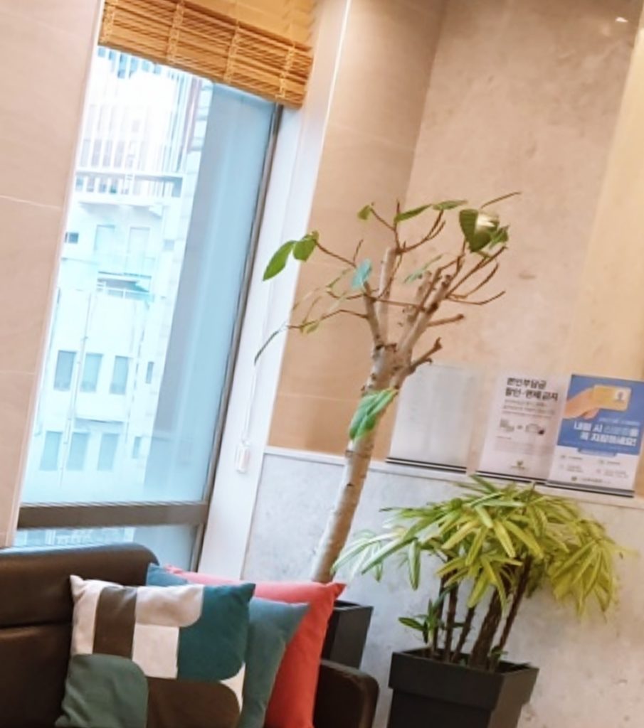 동래치과 (3)