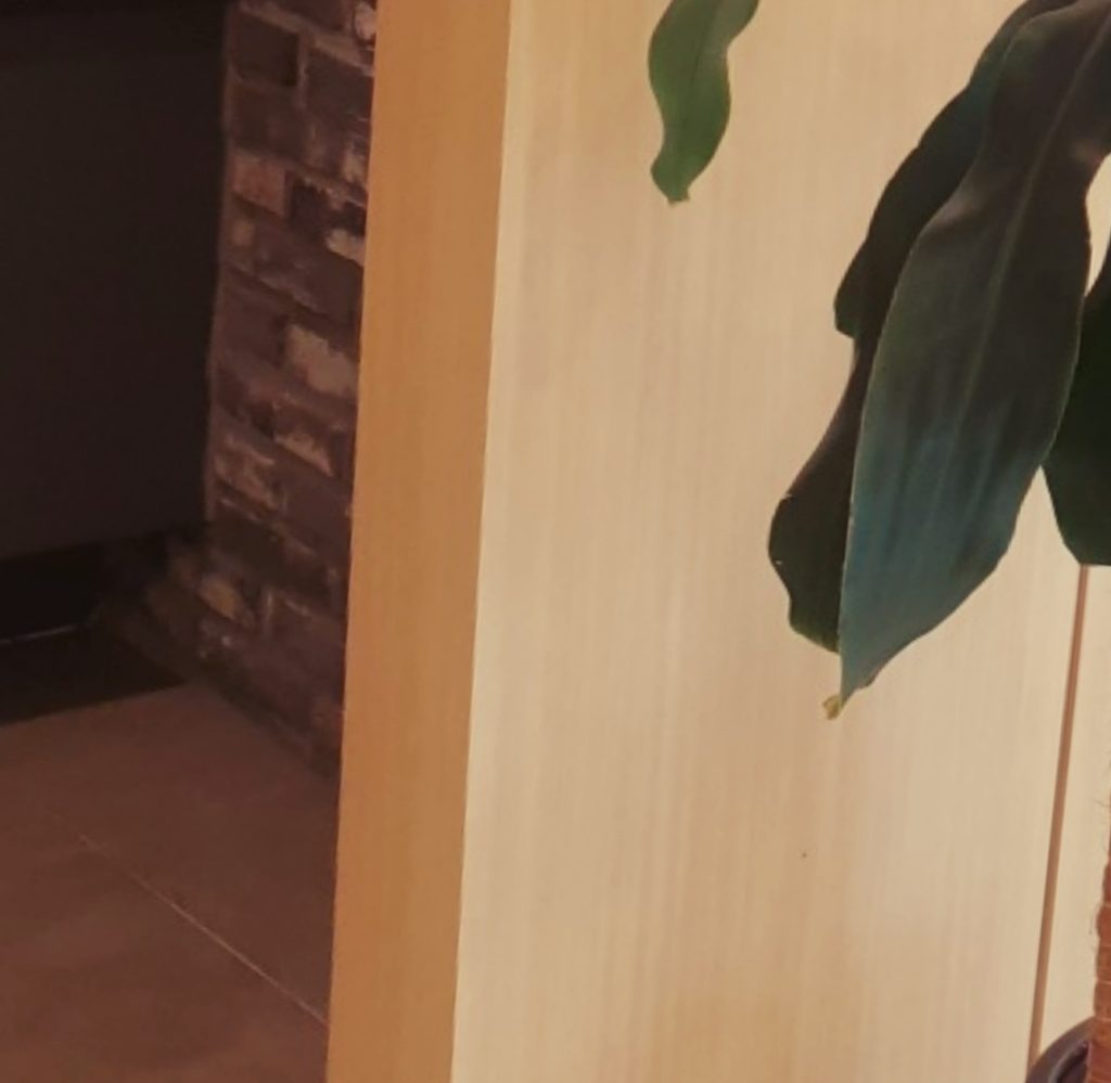 부산임플란트잘하는곳 부산임플란트잘하는곳 (4)