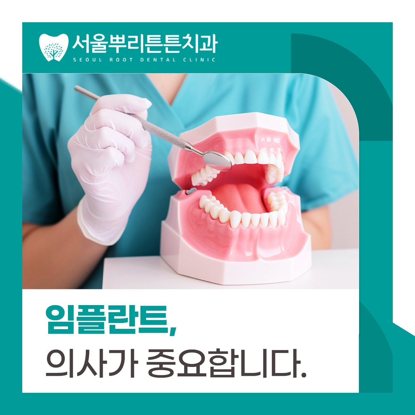 부산 치과 연산동임플란트추천