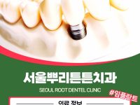 센텀치과 임플란트가격