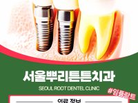 연산동 연산역 치과 임플란트 비용